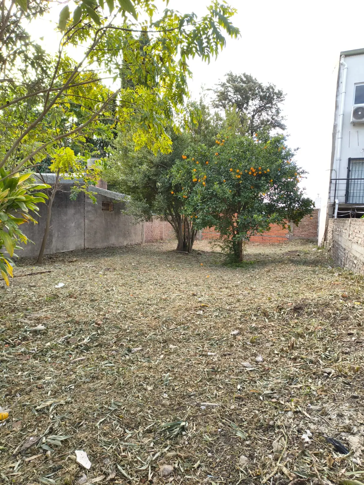 🏚️ VENTA de TERRENO C/CASA A DEMOLER - EL TALAR, PARANÁ 🪴