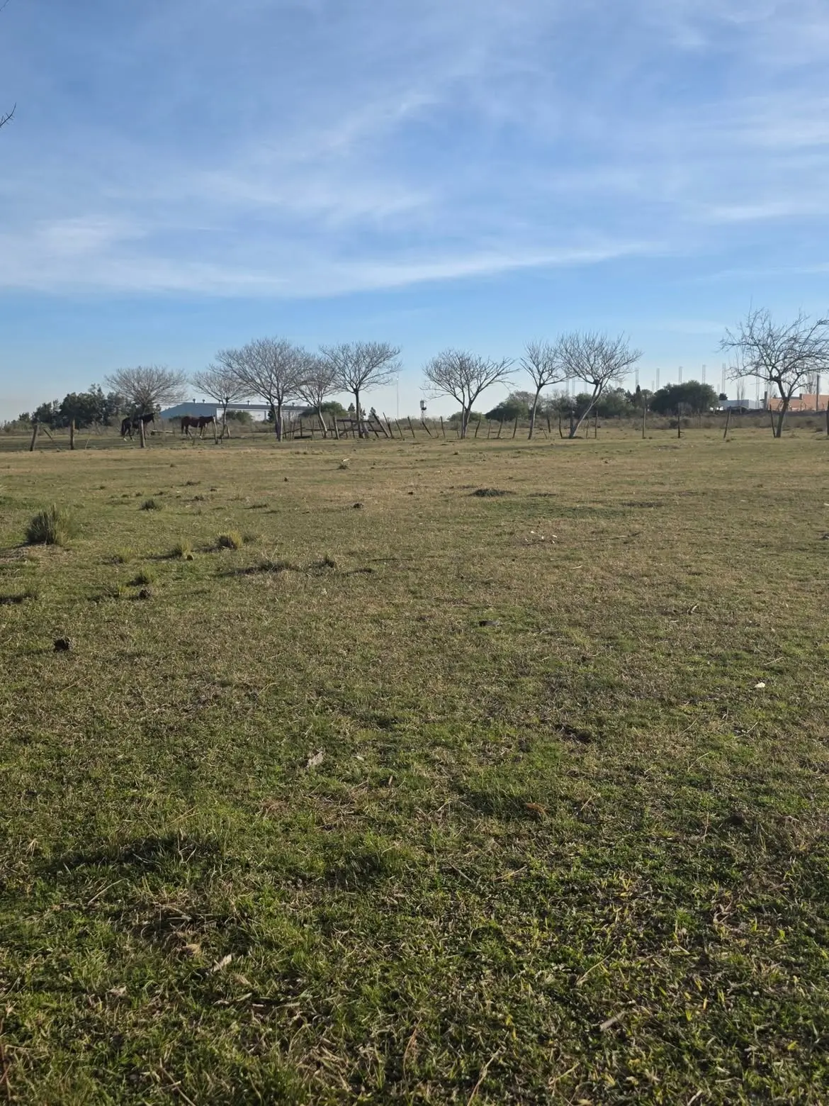 Vendo quinta en terreno de 60x254