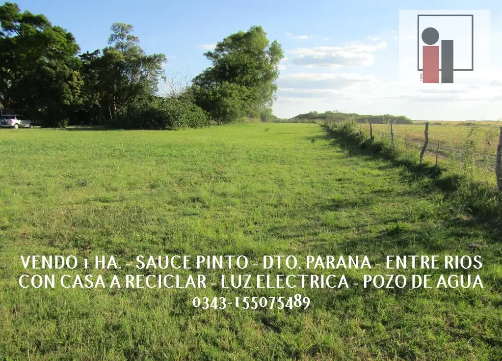 VENDO 1 HECTAREA (10.000M2) EN ZONA RURAL SAUCE PINTO, CON LUZ ELECTRICA